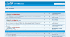 Desktop Screenshot of castellonpatina.com